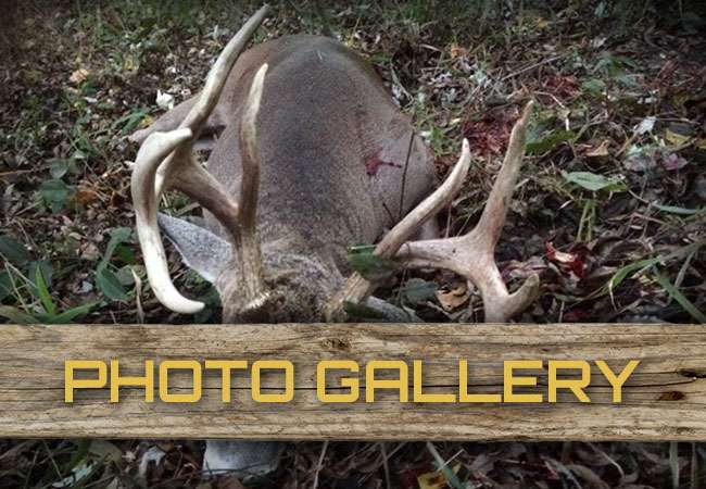 Photo Gallery